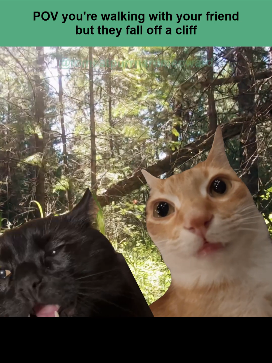 what would you do in this situation.. Song: 