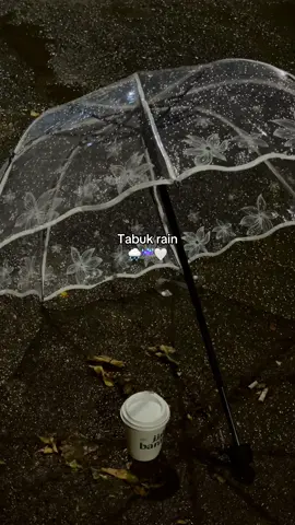 امطار تبوك 🥹☔️🤍 #مطر #الجو #تبوك #تبوك_الان #تبوكنا 