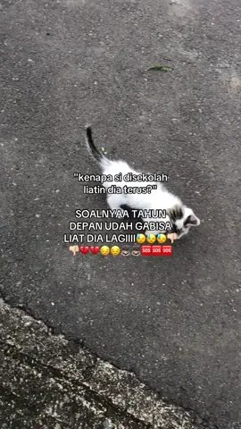 pliss tahun depan dia udah lulus😓 #itsmecici #4u #katakatastorywa_ #masukberandamuu #4upage 