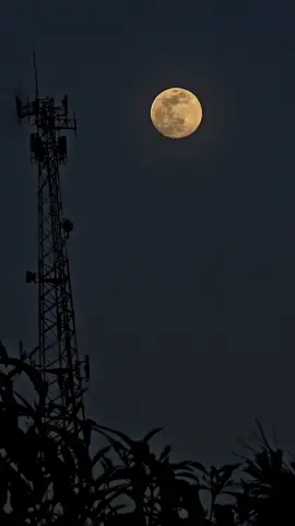 #luna #paratiiiiiiiiiiiiiiiiiiiiiiiiiiiiiii #luna #foryou 