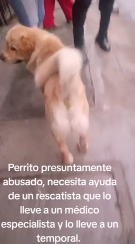 #limaperu🇵🇪 #independencia #perrostiktokers #ayuda