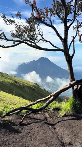 #merbabuviasuwanting #fyp #kecew 