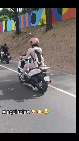 jajaj Yo en estos momentos de mi vida super relax 🤣🤣🤣