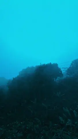 #nature #naturephotography #darkaesthetic #relax #aesthetic 