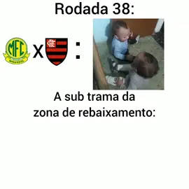 a sub trama ta boa                         #meme #brasileirao #futebol #rebaixamento #flamengo 