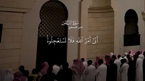 سورة النحل |  صلاة الفجر ١٧-١-١٤٤٦ هـ للقارئ :ناصر العصفور إمام جامع سليمان الراجحي - الرياض  - #تلاوات_المساجد #ناصر_العصفور #quran #سورة_النحل #الوتر 