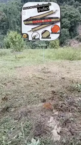 #สินค่าอยู่ในตระกร้า👇♥️ คนตัดหญ่าต้องจัด#ใชดีคับ#