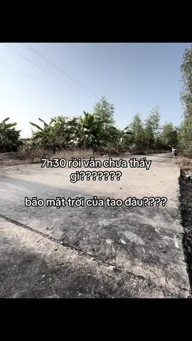 #tuanvi2811 #livefest2025 #fyp #tamtrang 