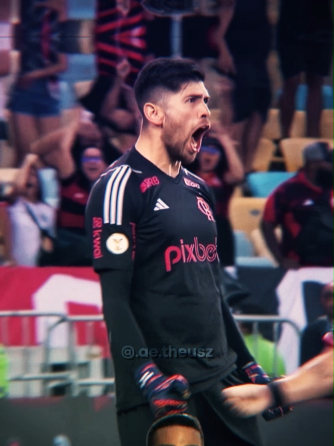 Flamengo é campeão brasileiro 🔥|| quer editar igual a mim? se sim vai no link da bio. #flamengo #arrascaeta #futebol #trend #theusz #edit