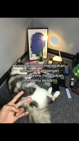 #tiktokaffiliate #motivation 