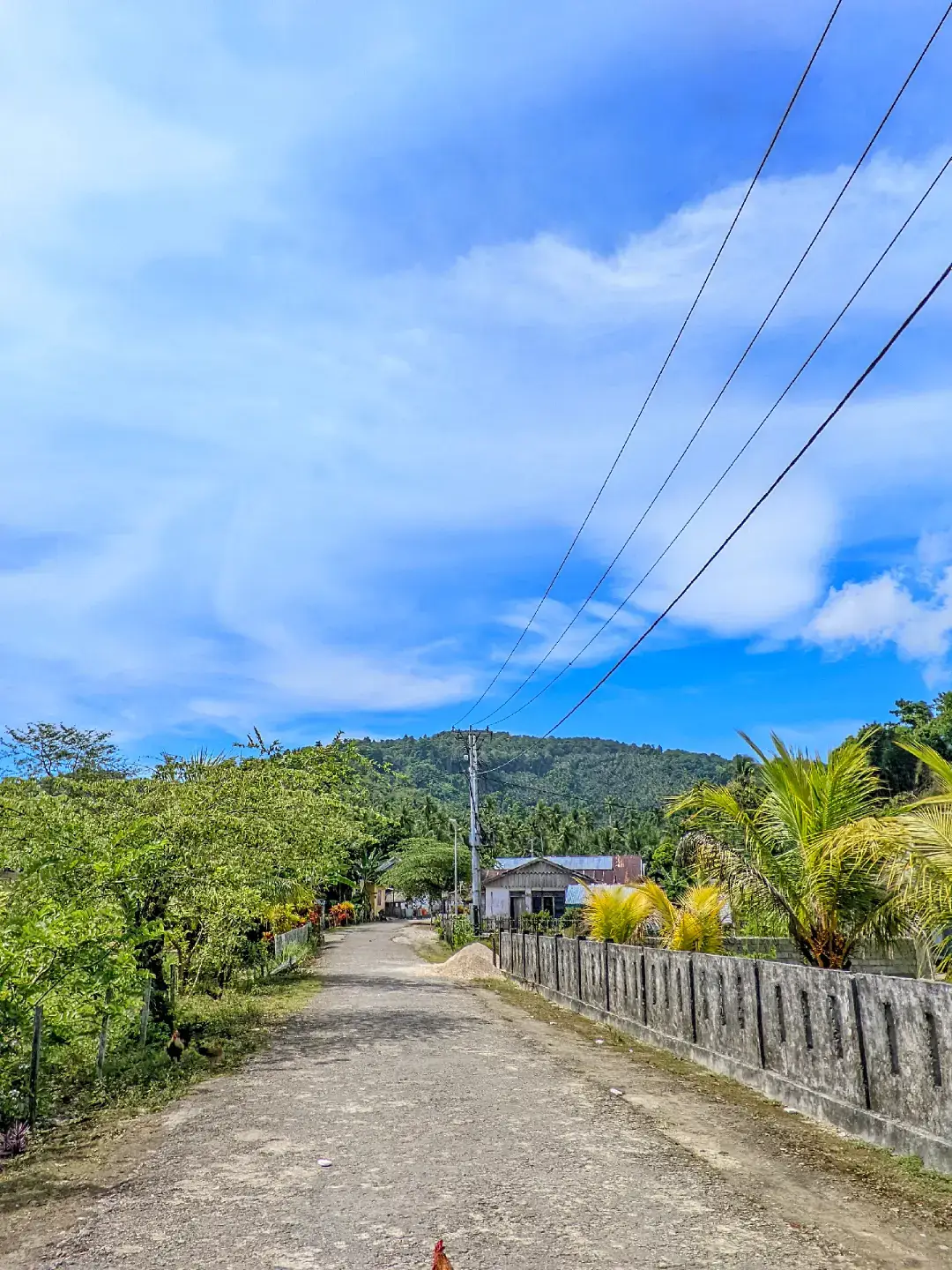 config by@kanghudaofficial  #gcam #lmc #pagii  #oppoa3x #random 