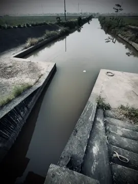 Ngồi đây với ,trăng tàn lẽ loi...