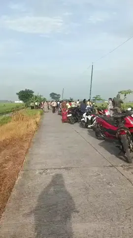 informasi penemuan sesosok mayat laki-laki di persawahan junganyar gajah demak pagi ini 7 Desember 2025#promomakanharian ##demak24jam 