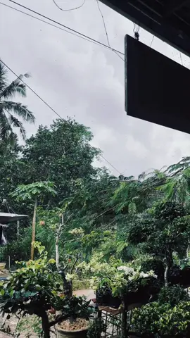 #lagulama #trending #fyppppppppppppppppppppppp #loajanancity #samarinda 