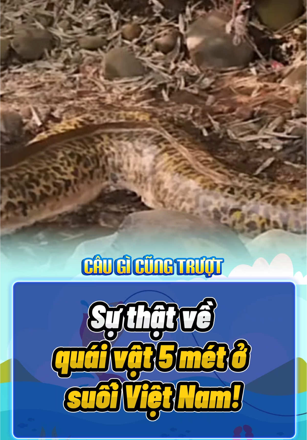 Sự thật về quái vật 5 mét ở suối Việt Nam! #fishing #fishinglife #rarecatch #fishingtok #fyp 