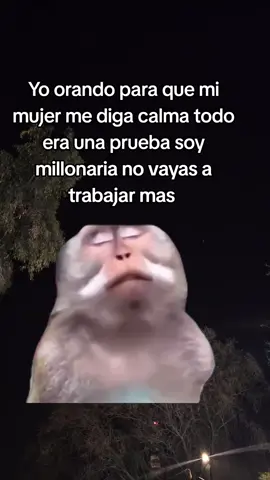 #CapCut#Memecut#parejas#casados 