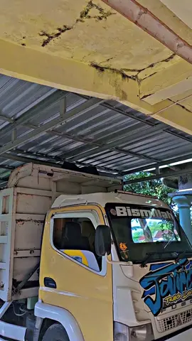 dino iku ono pitu lan ora kabeh dinomu🫵🫴#cantermania #fypppppppppppppp #bjn24jm 