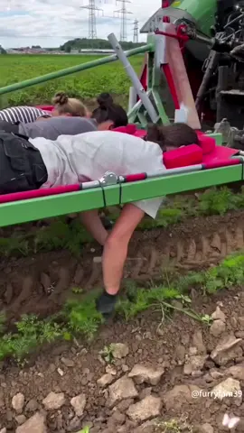 A satisfactory work site.#satisfyingvideo #amazing #usa #oddlysatisfying #fypシ 