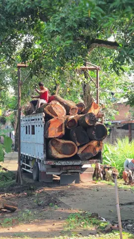 Bismillah golek pulihan bolo😊 #fyp 