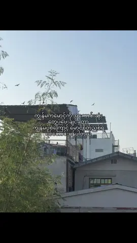 Morning #fypシ #foryoupage #08 #moots? 