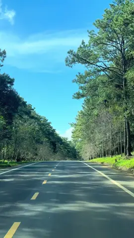 Cập nhật thời tiết  hôm nay 7/12 cho các bạn chuẩn bị đi Măng Đen nè! Nắng đẹp lắm luôn#mangden #fly #travel #tourmangden #hoaanhdao 