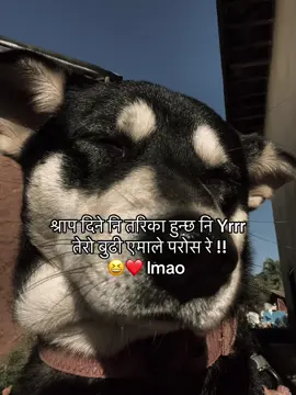 Tarika ho 😆😆#mentionyourfriend#reel  #justforfun #comedyvideo #fypppppppppppppppppppppppp  