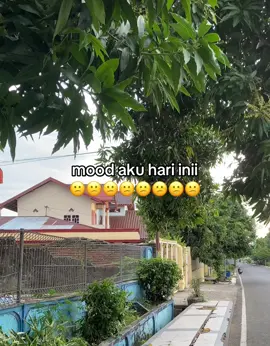 #fypシ #zxycba #galaubrutal 