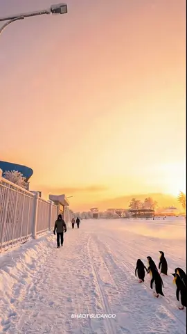 Minggu Pagi di Kanjuruhan :)  #bhaotsudanco #salju #fypシ゚viral #kanjuruhan #malangterkini 