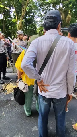 cfd tadi salah satu gerobak tahu bulat kebakaran, gamak kaye aneh bapak ne untungn sak ndek kenak baek ye aneh 😌 mudahan teganti berkali2 lipat rezekin sik allah taale 🤲 #lombok #sasaklombok #storywa #kebakaran #cfd 