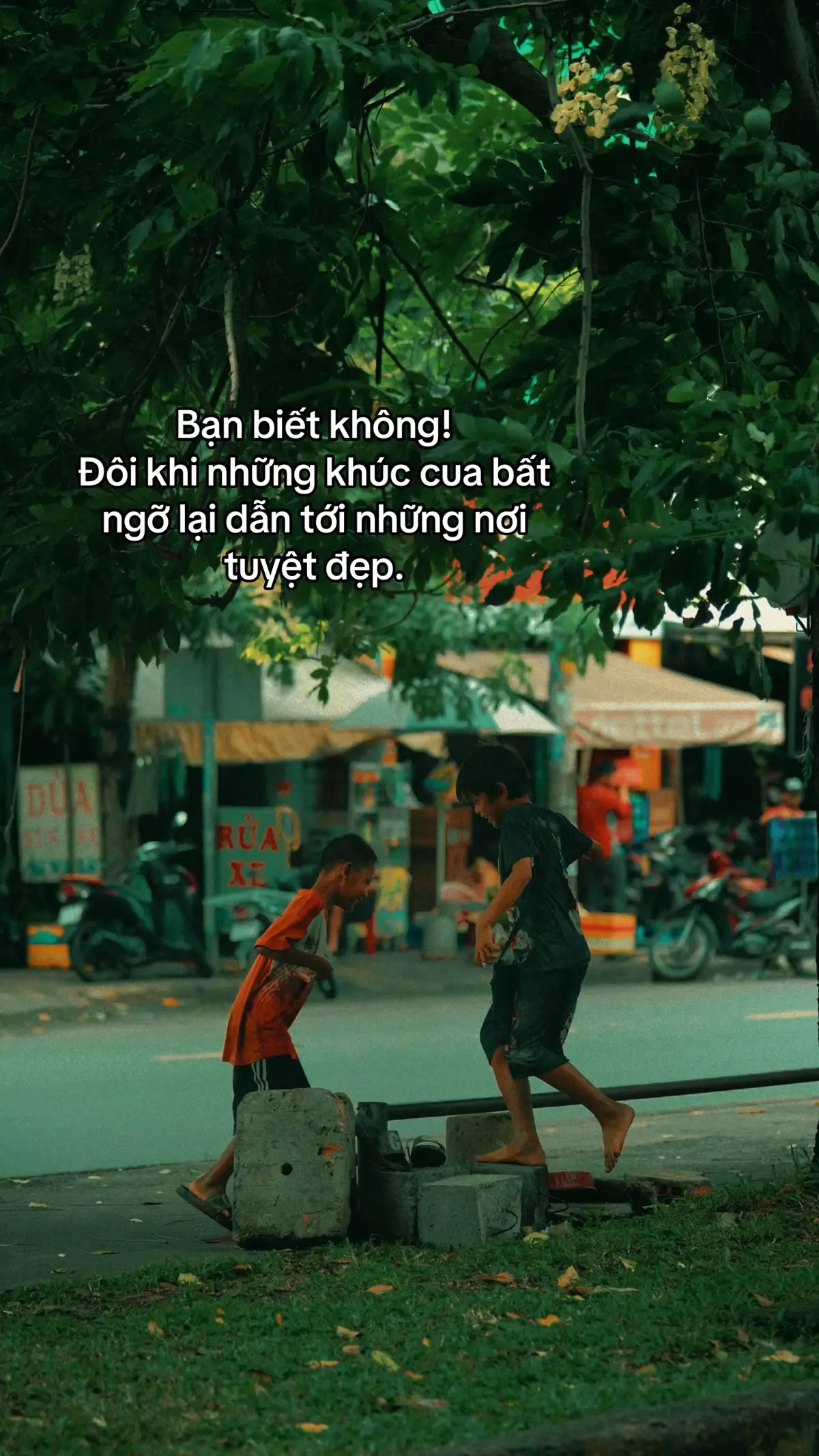 Bạn biết không!