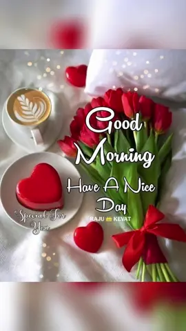 #Happy@Morning #💥❣️💝💞 pigal girl #