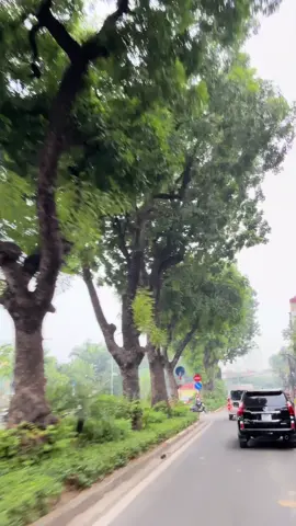 Có nên tiếp tục ở Hà Nội không,thời gian này ở hà nội đang ở nhiệm không khí nặng😢mấy hôm nay thời tiết hà nội 8giờ sáng mà không thấy nổi mặt trời sương mù bao phủ#xuhuongtiktok #xhhh #hanoi