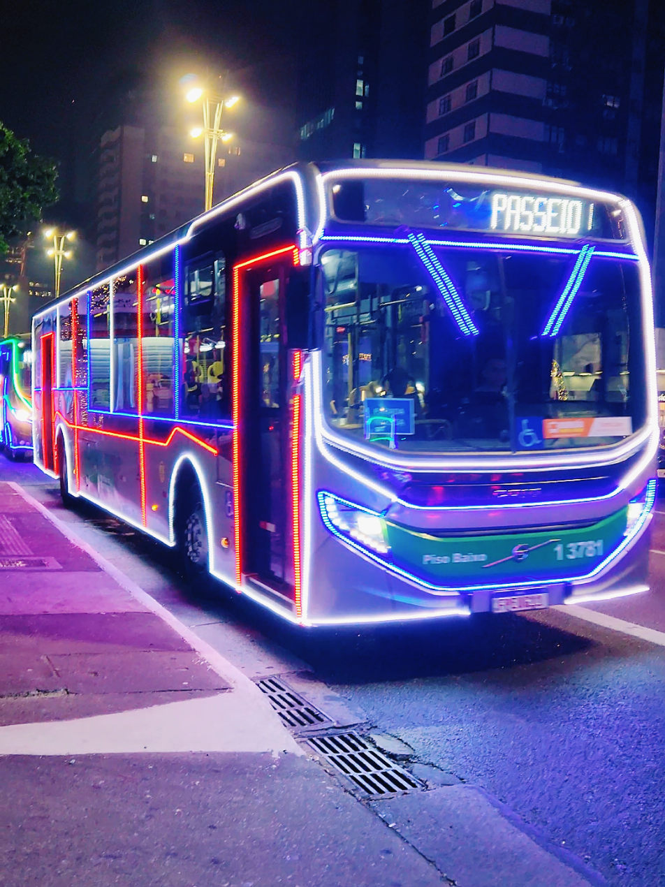 #saopaulocity #PlacesToVisit #avenidapaulista #feliznatal 