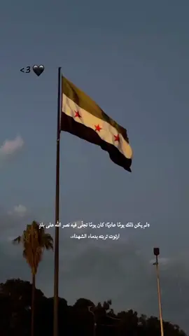 #foryou #foryoupage #دمشق #اقتباسات_عبارات_خواطر #syria 