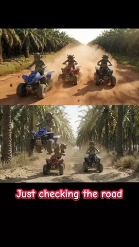 I'm playing around on an oil palm plantation 🔃🏁