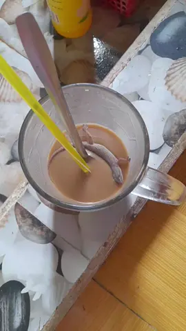 😋😋😋🥵🥵#dangkhoi🐉 #xybca #tt #xhtiktok 