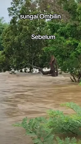 sungai Ombilin berubah menjadi sungai yang sangat indah seperti di Swiss pasca banjir menerjang sumatera barat #fyppppppppppppppppppppppp #viral #trand 