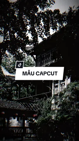 Cuộc đời còn nhiều điều lo toan gánh trên đôi gai gày #CapCut #nhachaymoingay #xh #capcutmaster #capcut #capcutpioneer #pioneertemplate 