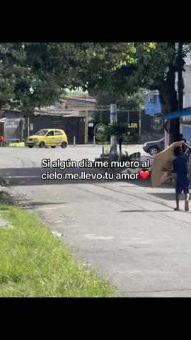 #nelsonvelasquezvallenato #fyp #parati #vallenato #tiktok  