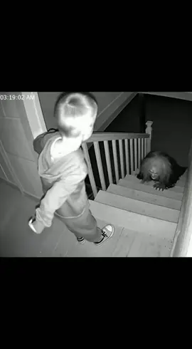 Here’s what to do if you find a witch in your basement 👍 #horror #caughtoncamera #scary #ringcamera #sora 