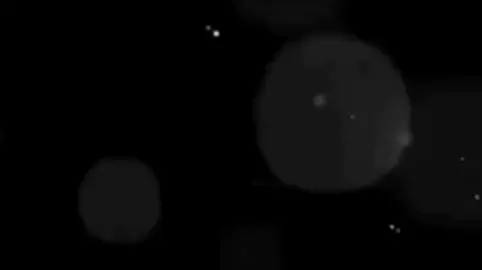 cutiiiiii👌💗#kisa #kijay #xh 