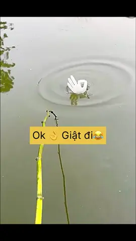 #câucá #đammecauca #fishing #viral 