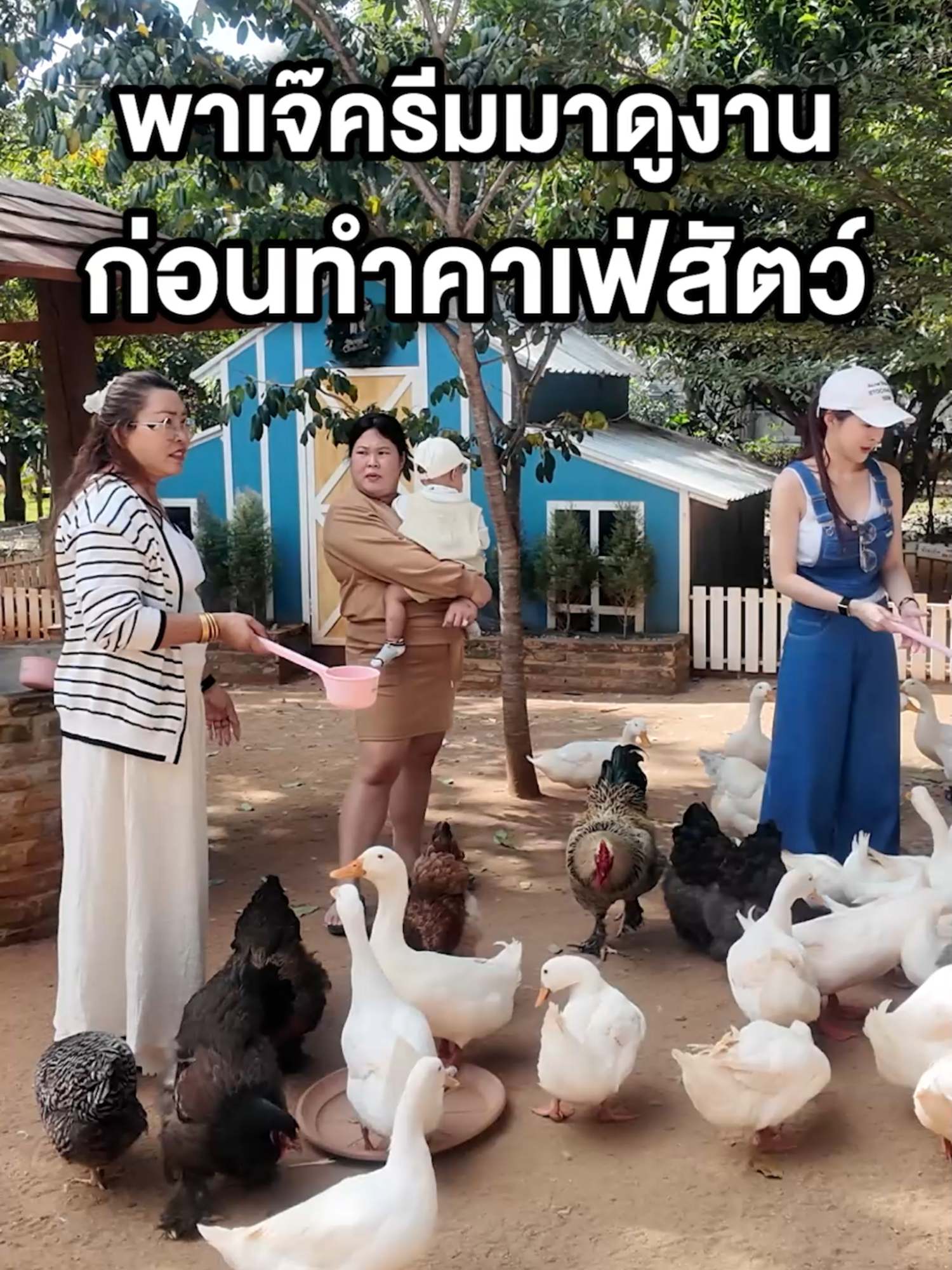 มาดูงานคาเฟ่สัตว์ จะ อนุมัติดีมั้ยทุกคน?