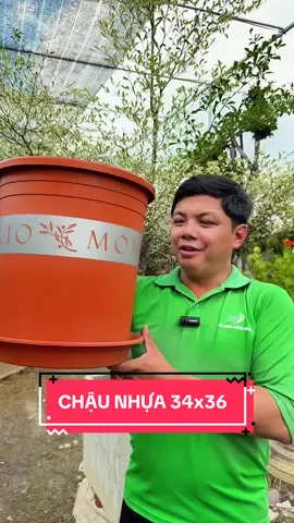 Chậu Nhựa Montario #ChauNhuaVietpot #VietpotMontario #ChauNhuaMontario #ChauNhuaCaoCap #ChauNhuaGiaRe