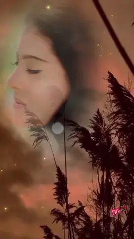 #assalamualaikum🙏 #padahariini 