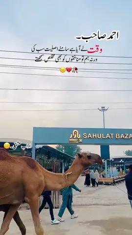 وقت۔☹️#آداب۔عشق #foryoupage❤️❤️ #viral #viralpoetryvideo #sadpoetry @Nimra Mehra 