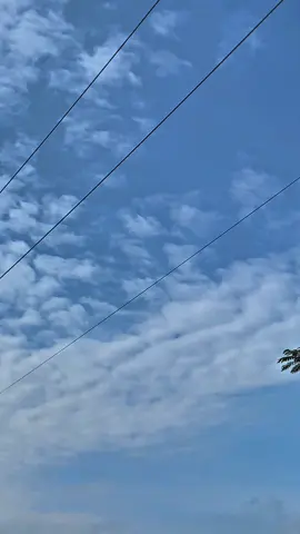 #fyp #cbindonesia #glneotechindonesia #naikcbyuk #infoacaracb 