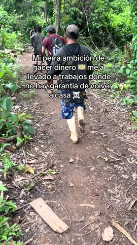 #puertomaldonadoperú🇵🇪 #puertomaldonado🍃🌴 #lapampa #puertomqldonado💚🌴🌴💚💚🇵🇪🇵🇪❤️‍ 