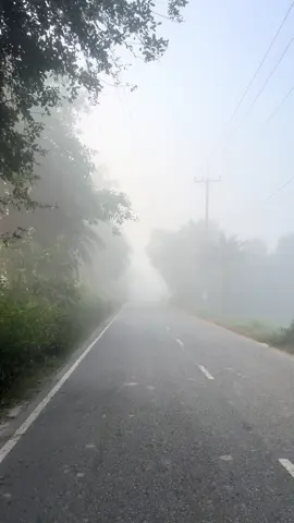 শীতের সকাল কেমন লাগে ? #rifatahamed52 #HPRadicalReuse #wheneverwherever #Rifat #ami #💔💔 #🔥🔥🔥 #🔥🔥🔥🔥🔥🔥 #প্রকৃতির_সৌন্দর্য🥰 #vews🙏🏻🙏🏻 