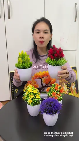 Chậu cây mini decor #chauhoaminidecor #xuhuong 